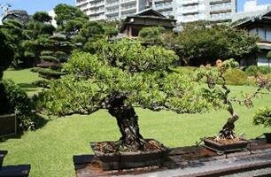 Happo-En Gardens Tokyo Travel Guide