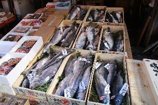 Tsukiji Fish Markets Tokyo Travel Guide